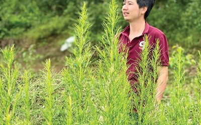 Khởi nghiệp dựng cơ đồ xanh
