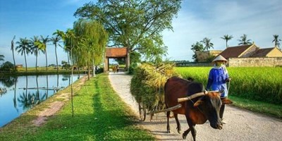 BẢN TIN NÔNG NGHIỆP VÀ PHÁT TRIỂN